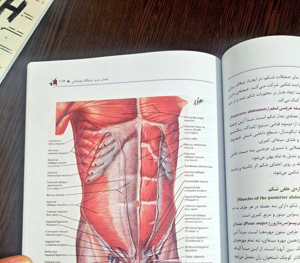 .Gm 🌞
Its been a long time since I was around due to health and academic issues. Lets have an amazing day today!