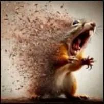 الشظِيَّة العربية tweet media