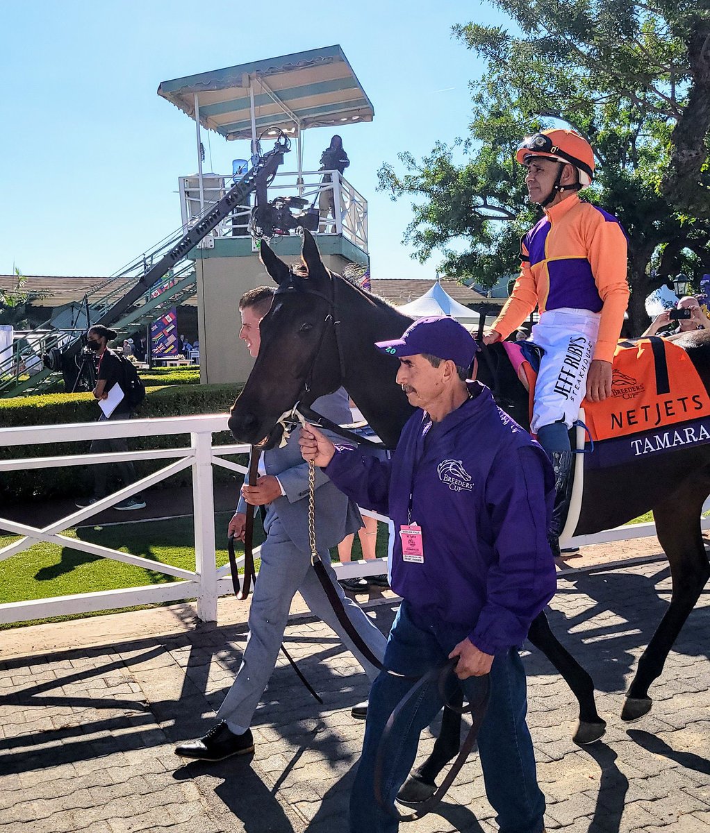 Time flies so fast! .. 12 years ago, I was waiting to see Beholder running in the breeders cup.. 

She was one of the greatest mares I’ve ever seen on the track and today I see her daughter carrying on the legacy.