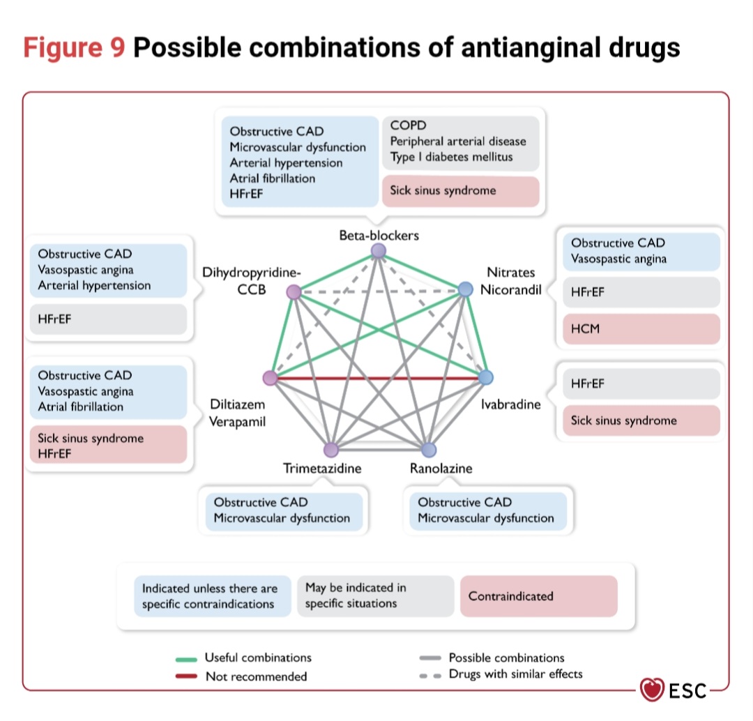 Antianginal drug list:
1. Beta-blockers 
2. CCBS(DHP &amp; NON DHP)
3. Ivabradine 
4. Nitrates &amp; Nicorandil
5. Ranolazine 
6. Trimetazidine

Is it safe to use Beta-blockers with NDHP CCBS? 🤔

Why don't use Ivabradine with Verapamil? 🤔

What combination you usually use?

Image from