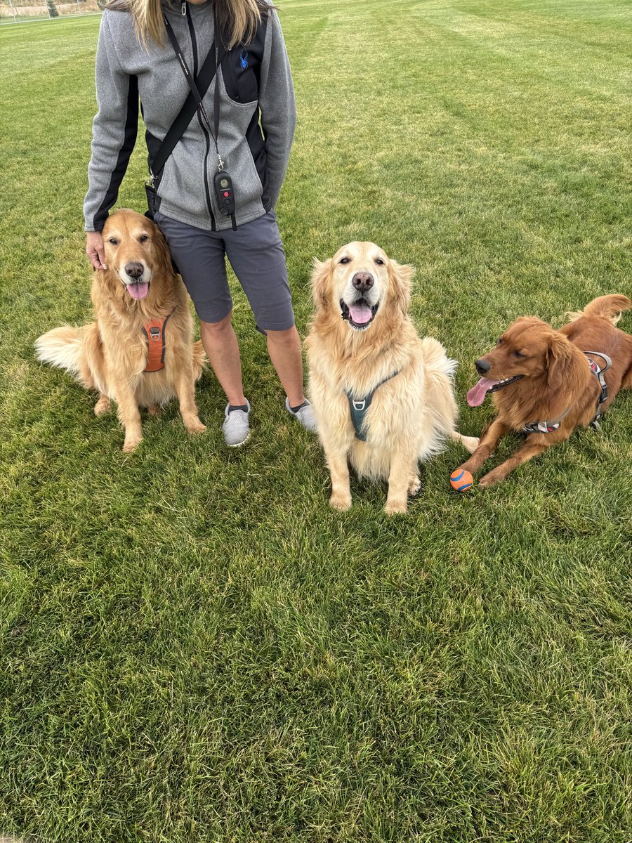 Dad’s been away for a few days! Looking forward to seeing the boys and mom in a few hours!❤️❤️❤️❤️#SNELovePets