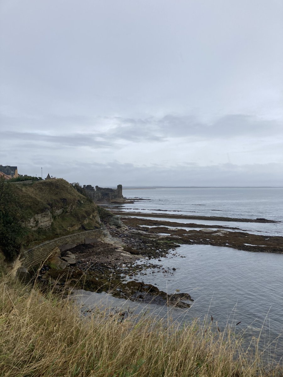 turns out you can always just move to the east coast of scotland