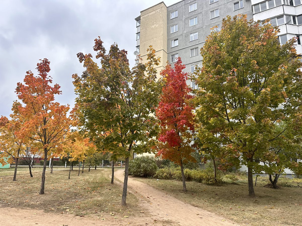 Такие краски