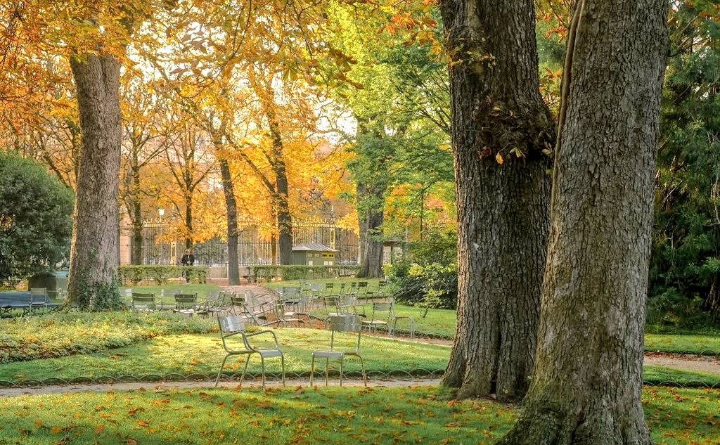 Juju_C89's tweet photo. Joli #dimanche d'automne à tous 🍂🍁
#autumnsunday https://t.co/ymsB4TXErF