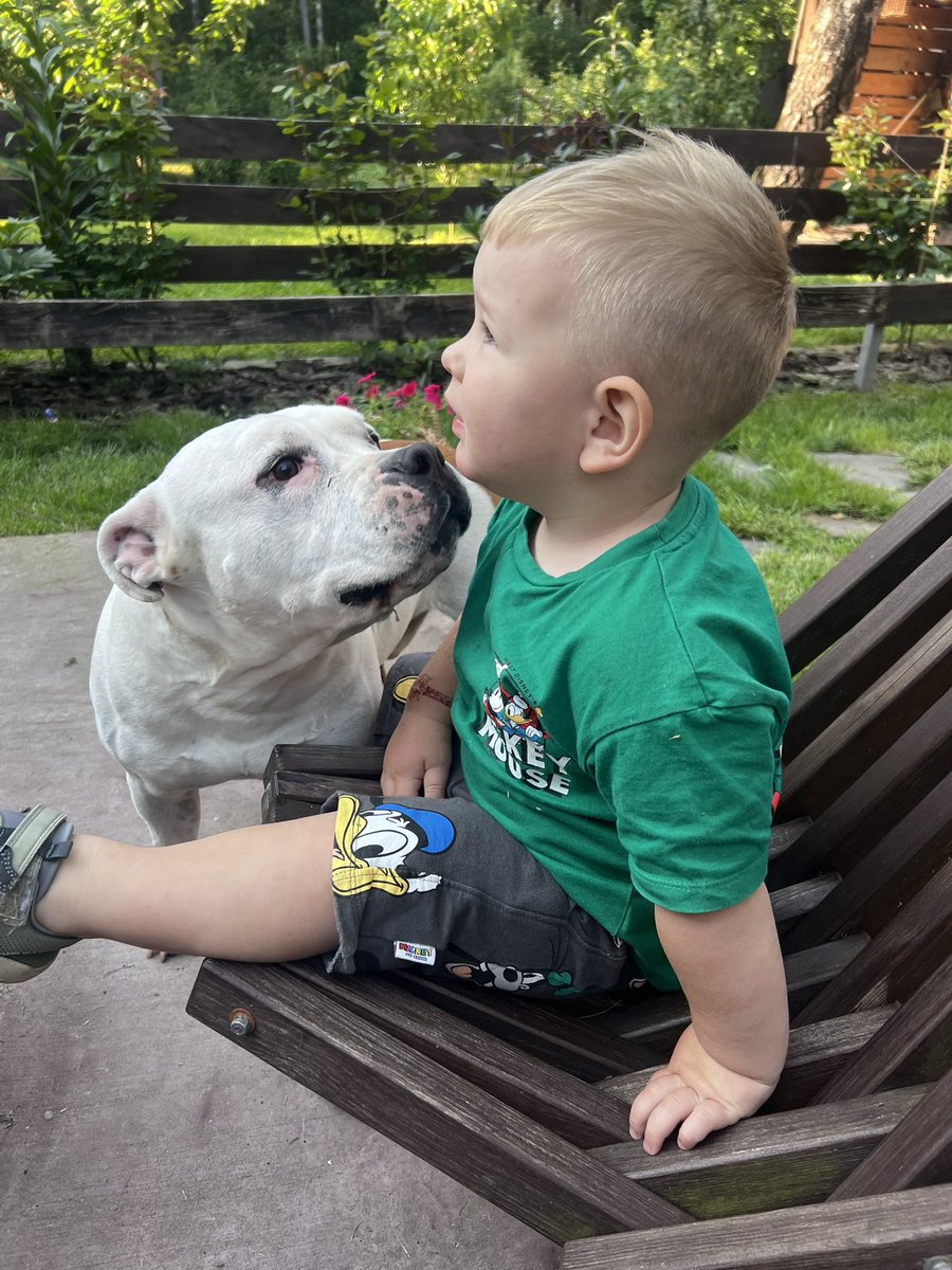 Daryna Panchenko tweet media