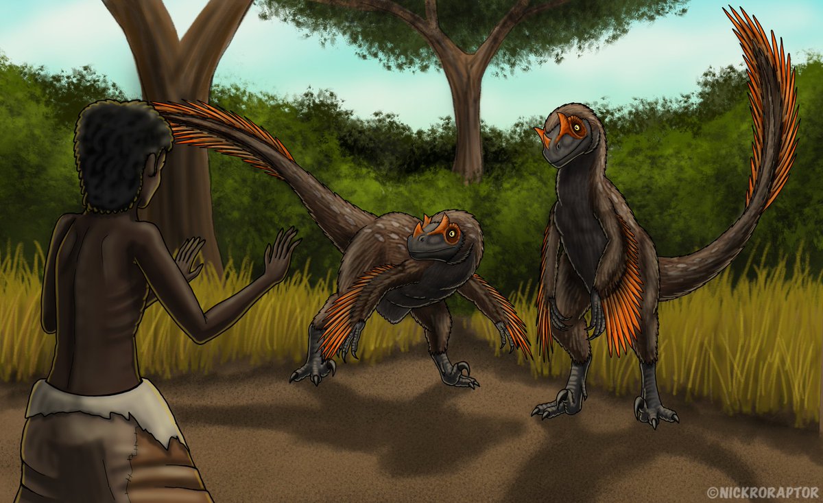 My next video is up featuring artwork from <a href="/TalesofKaimere/">Keenan Taylor's Tales of Kaimere | He/Him</a> <a href="/Emily_Art/">Emily Stepp</a> <a href="/BrandonPilcher/">Brandon S. Pilcher</a> Nickroraptor on YouTube, and <a href="/CongoComics/">CONGO 1880: #2 out now! 🦕</a> (1/3)

Yes, we finally get to see one of the raptor species of my world

youtu.be/DMuYXIy8qgE?si…