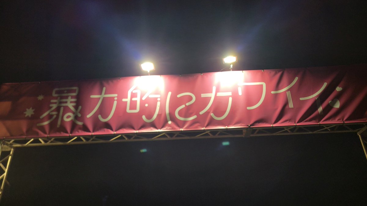 kakipom39's tweet photo. ありがとう暴カワ
これはさんそちに差し入れる予定だったブラメンテリア https://t.co/1ZL6gPgMPe