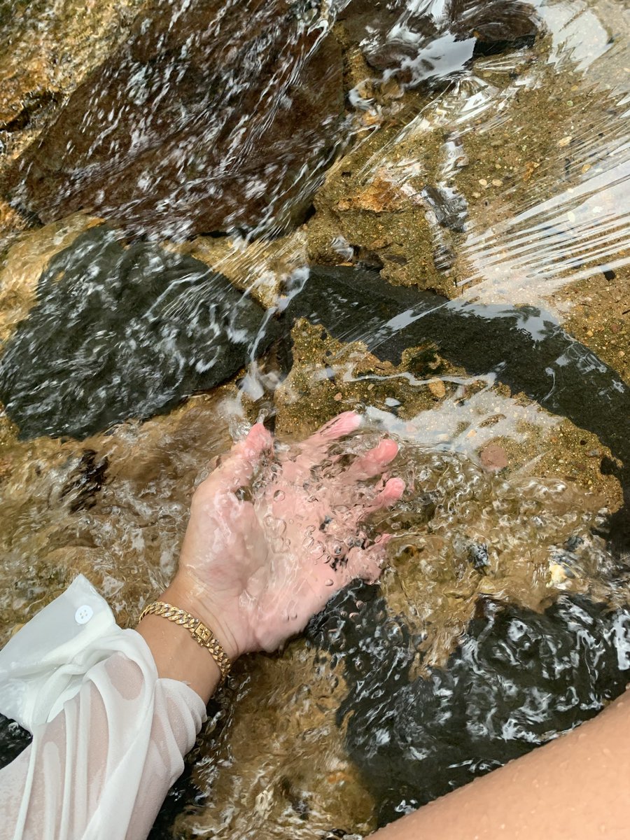 tessabogor tweet media