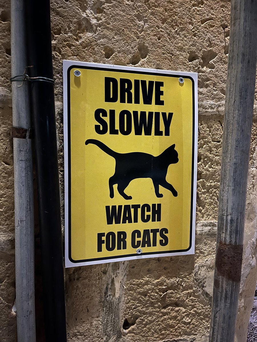 Mitten d'Amour tweet media