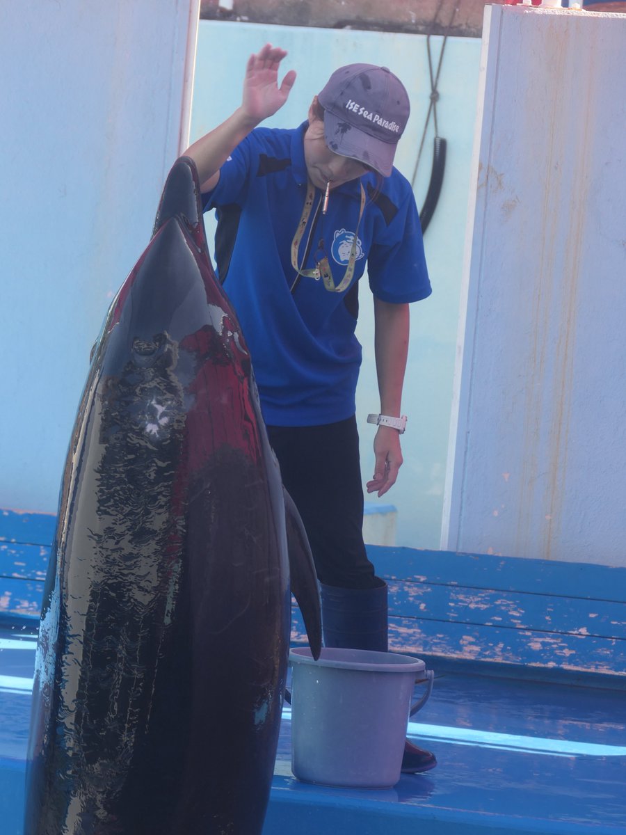 飼育員 - Search / X