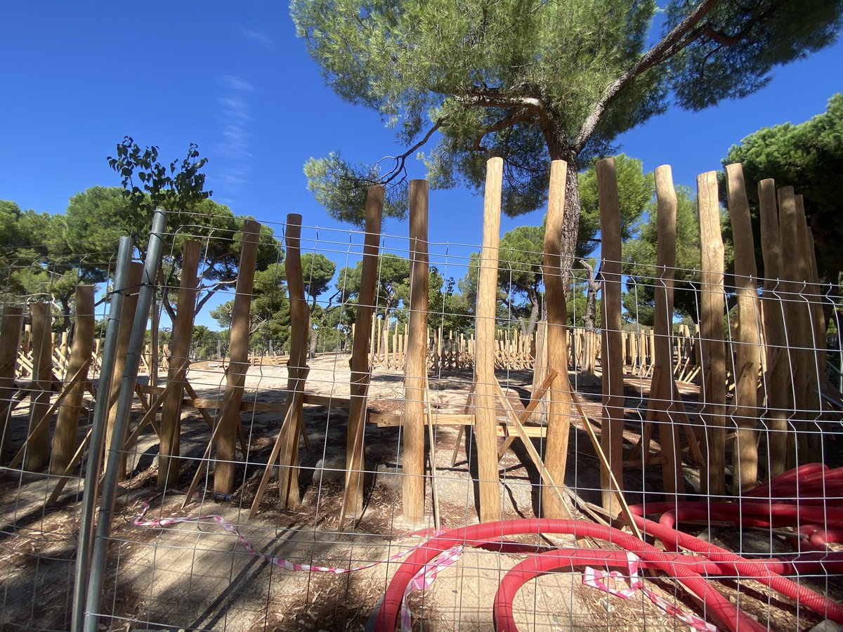 tamara sanfabio tweet media