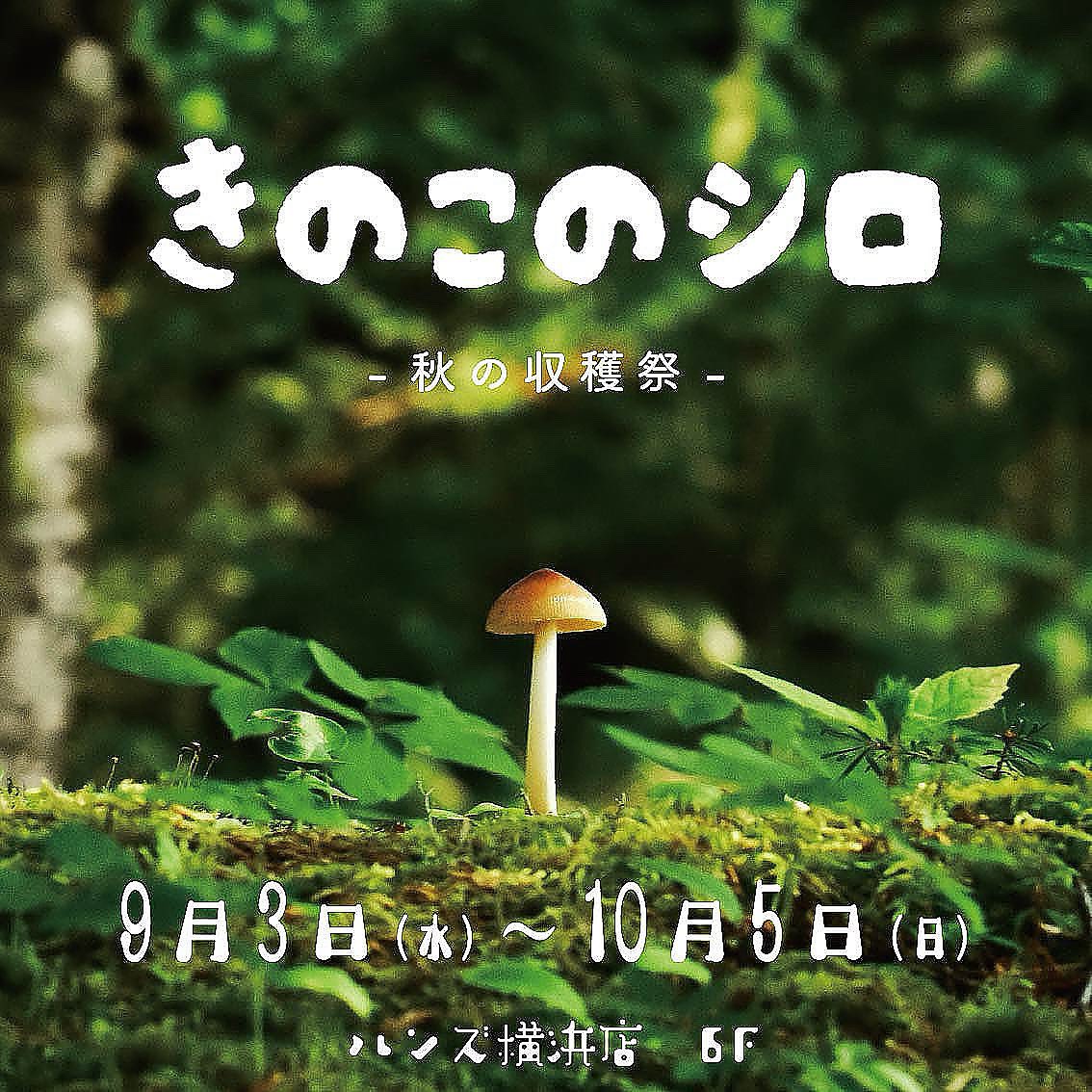 きのこのシロ-秋の収穫祭-
終了しました🍄

たくさんの方にお越しいただきだきありがとうございました。
きのこ好きの方 ハンズ横浜のお客様に暖かく迎えていただき 感謝の気持ちで一杯です。

皆様に応援していただいて多くの方にと交流できて楽しいシロでした。