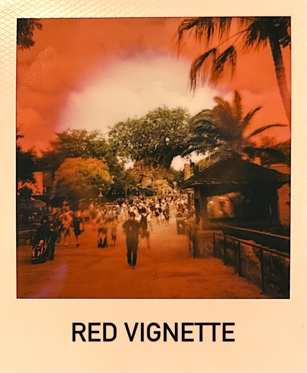 josabain's tweet photo. Got some filters for one of my cameras so did a quick photo trial at Disney’s Animal Kingdom!

#disneysanimalkingdom #waltdisneyworld #polaroid 

Shot on #polaroidnow #thrasher #itypecolor 

 https://t.co/QqVz76pTzf https://t.co/lri831e1tV