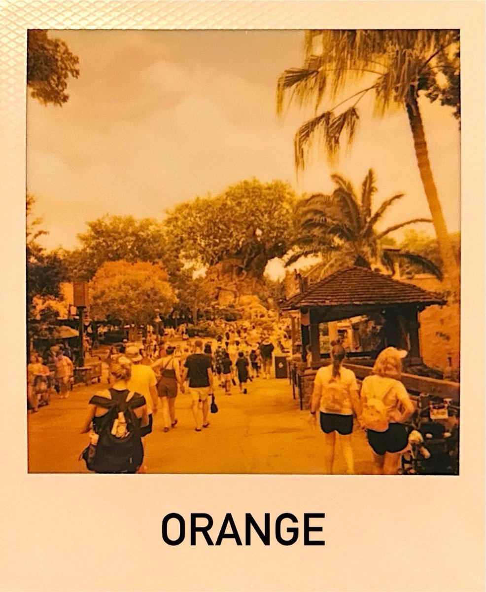 josabain's tweet photo. Got some filters for one of my cameras so did a quick photo trial at Disney’s Animal Kingdom!

#disneysanimalkingdom #waltdisneyworld #polaroid 

Shot on #polaroidnow #thrasher #itypecolor 

 https://t.co/QqVz76pTzf https://t.co/lri831e1tV