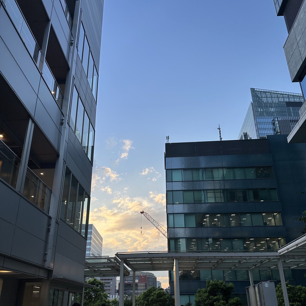 nap_vlog_'s tweet image. Daily Life💙🤍