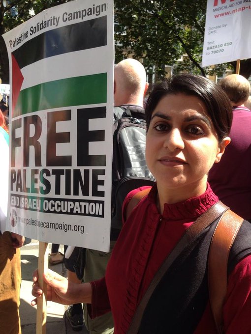 Peter Reynolds tweet media