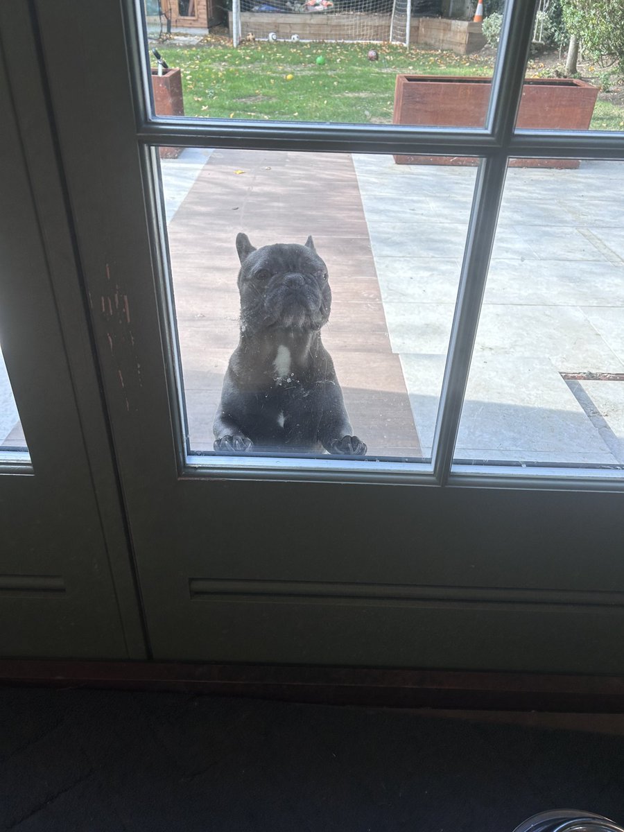 Ginger Tucci tweet media