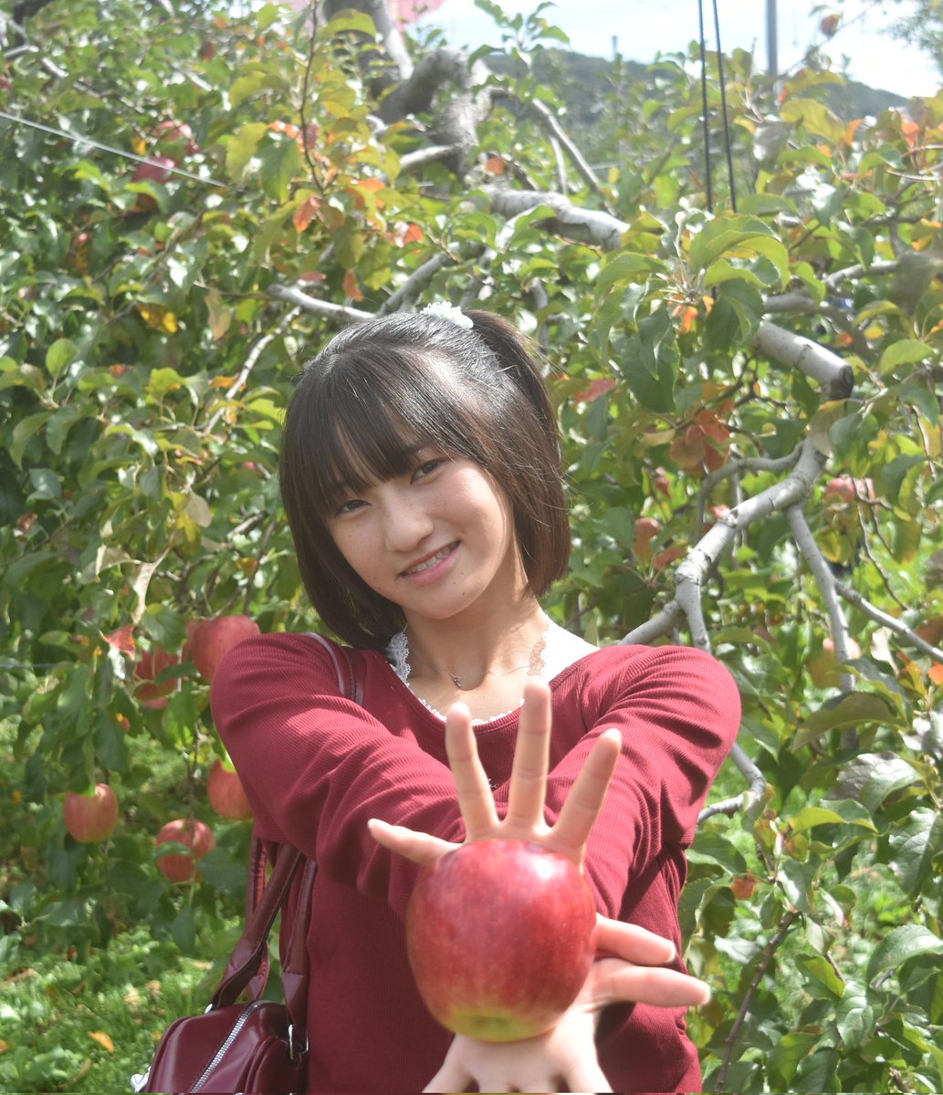 kurimisu113844's tweet image. かなでちゃん可愛すぎる
りんご波‼️
#かなでん　#かなで
#あかぎ団
#りんご狩り
