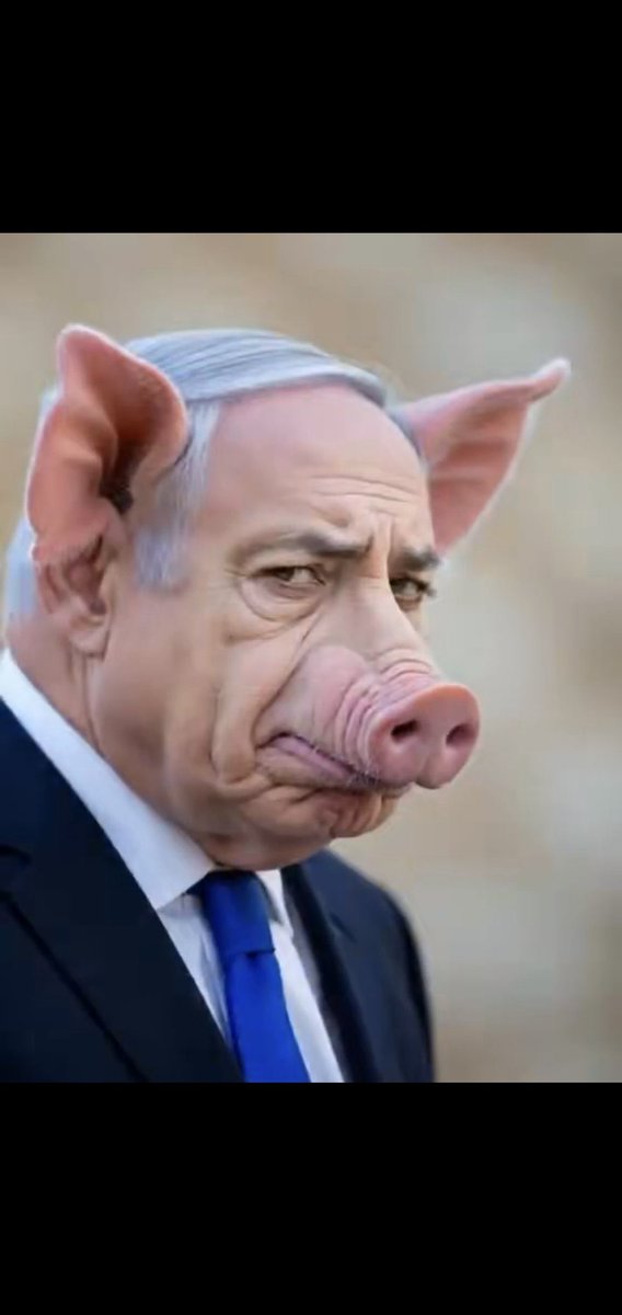 tumejoramigo's tweet image. Ciertamente Israel Genocida Hitleriano