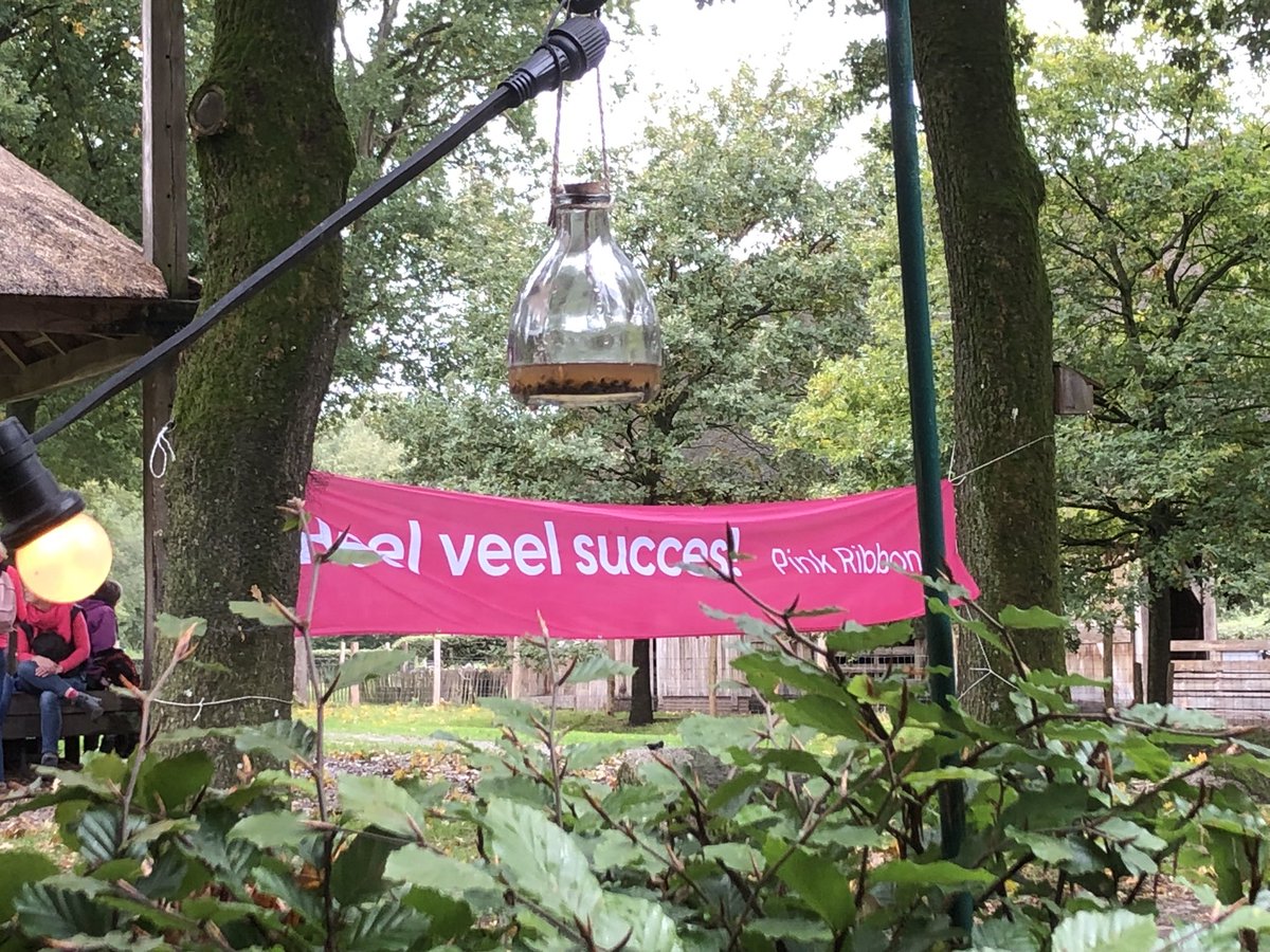 slaoperij's tweet photo. Pink walk westerbork 10 km gewandeld prachtige route kaarsje aangestoken in kerk westerbork
#herfst #roze #bedankt https://t.co/A8AILRZ56o