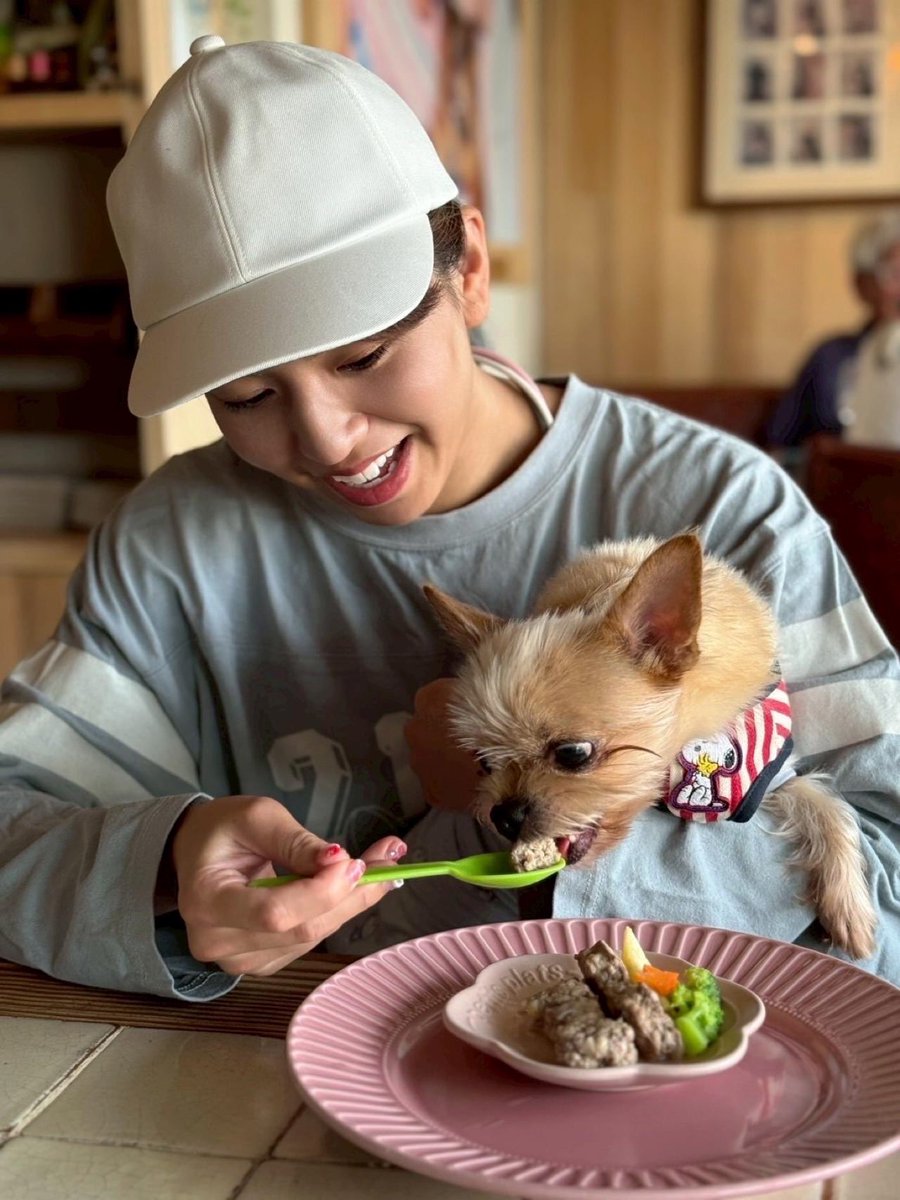 今日のワイルド息子😈❣️ 行きつけの店で、ハンバーグを食らう👅 息子