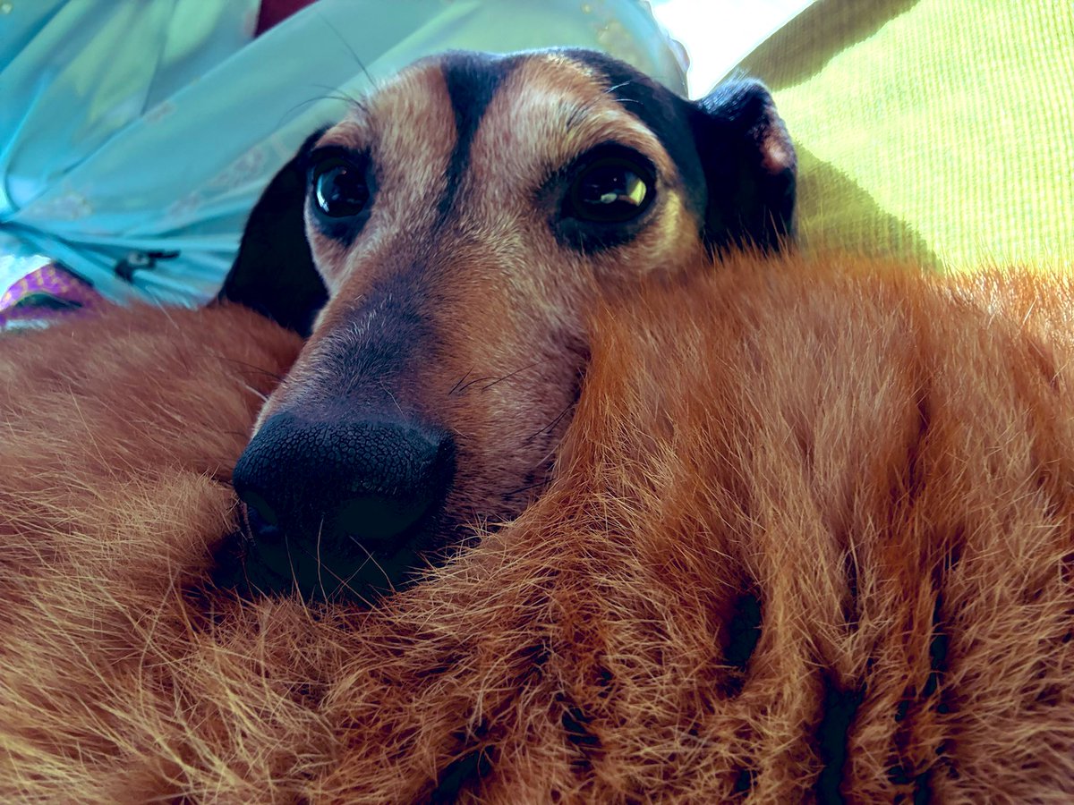 Trudy Druif symbiose 🫶