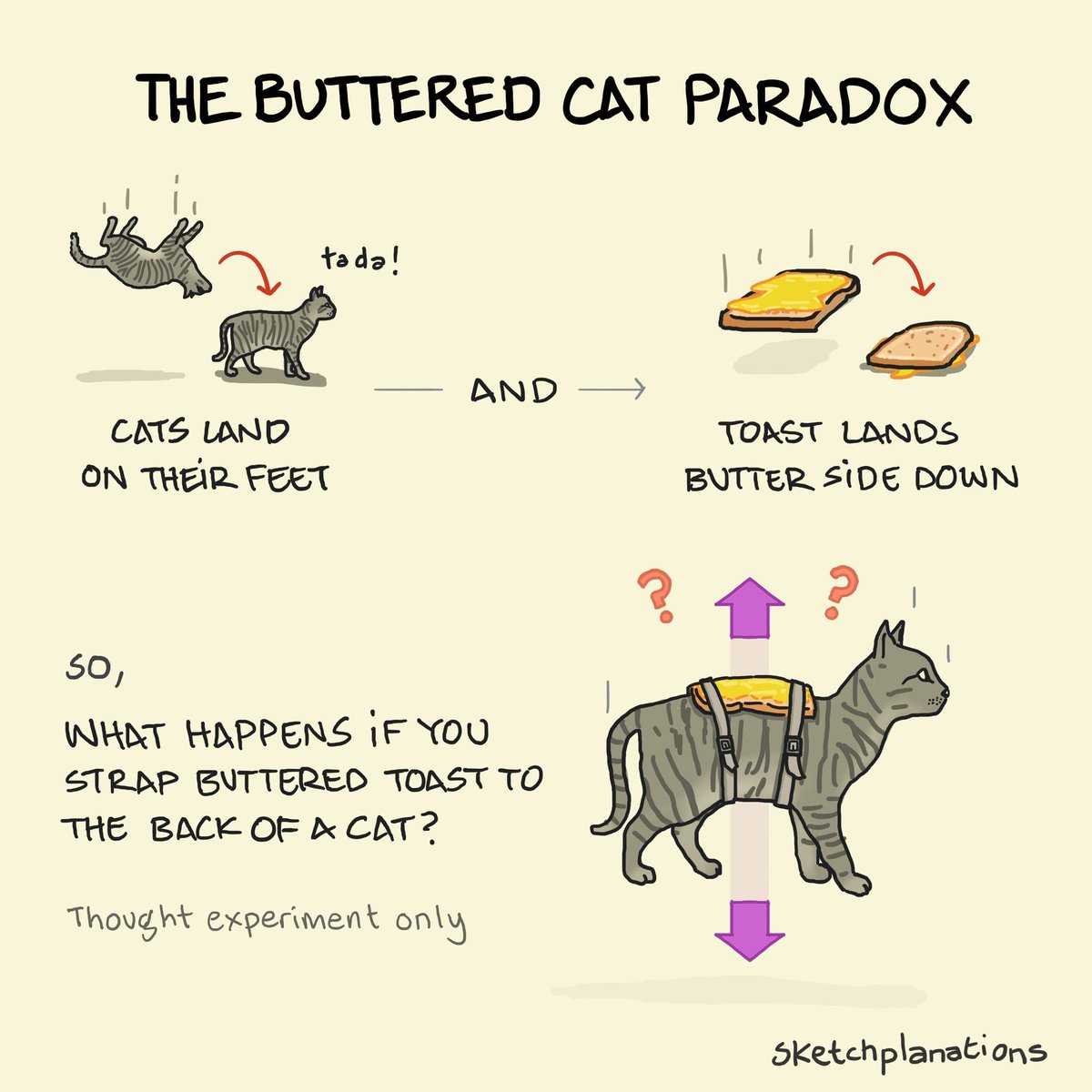 sketchplanator's tweet image. The Buttered Cat Paradox goes like this:
1. Cats always land on their feet
2. Falling toast always lands butter side down
So what will happen if you strap buttered toast to the back of a falling cat?
I dropped no cats in the making of this sketch. Please don't drop cats.