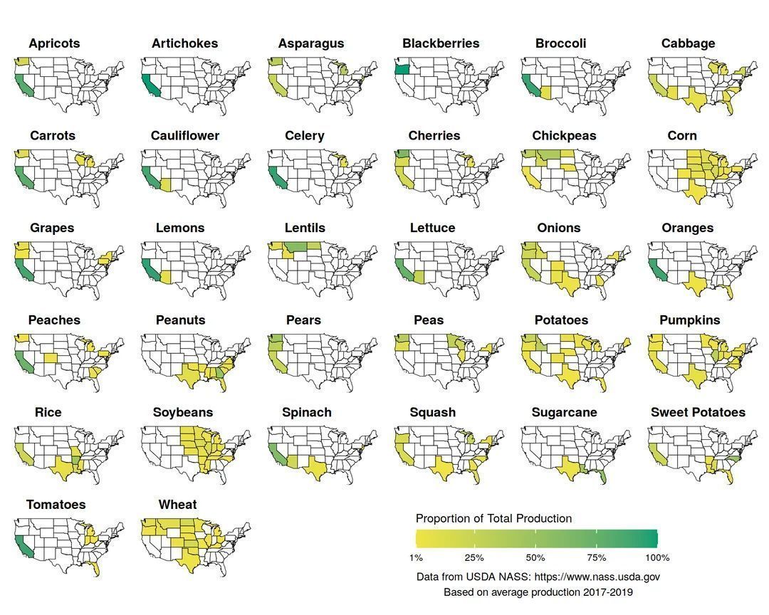 Where in the USA are common foods grown?