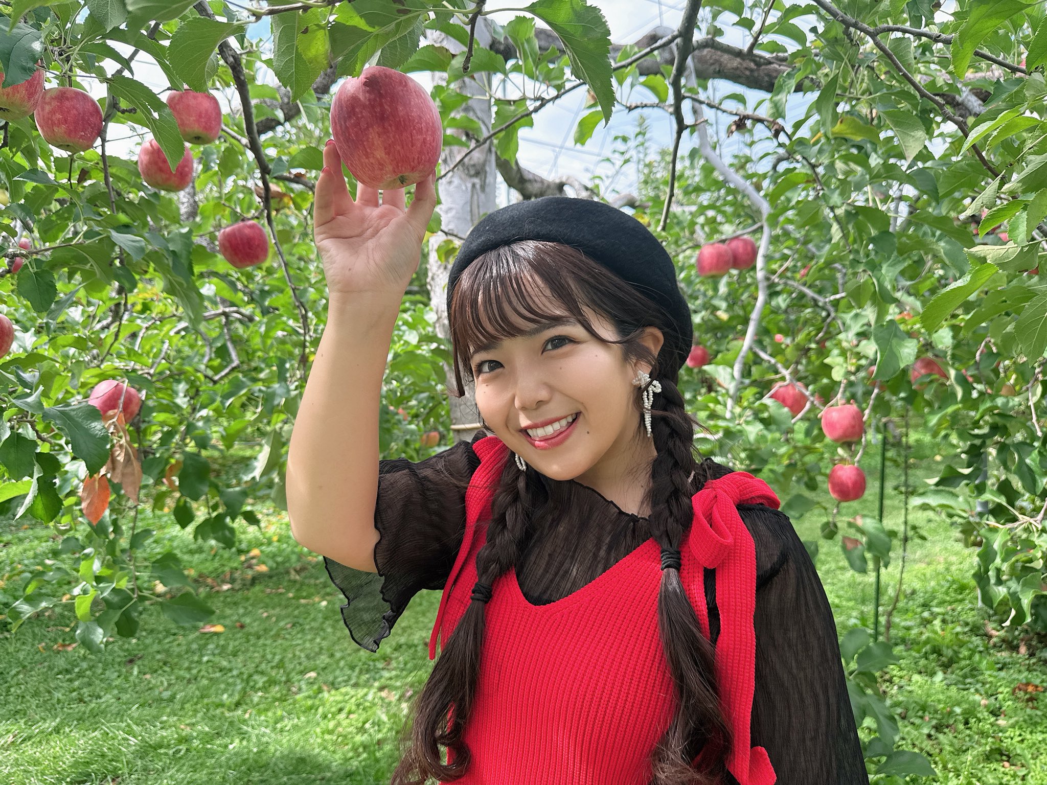 りんご様　購入専用ページ muck様専用『トキ』青森県産りんご(7個～12個)：青森県産の