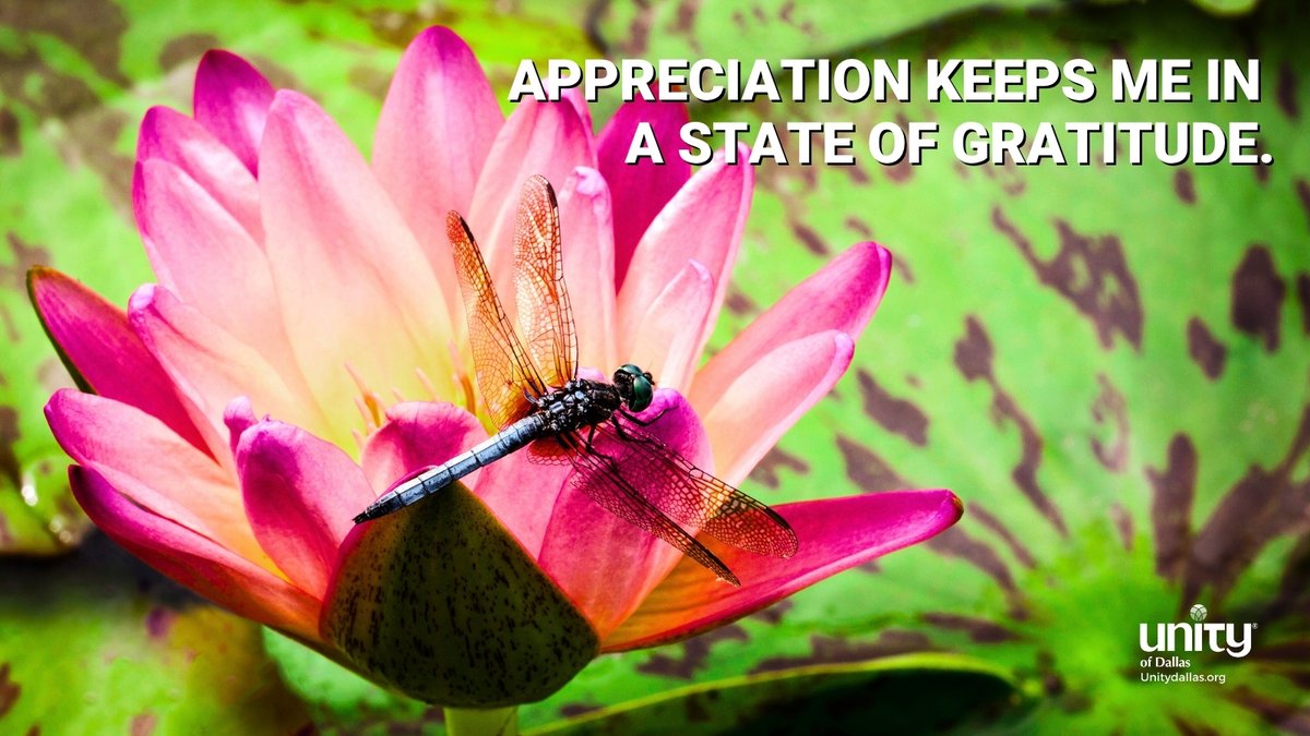 UnityDallas's tweet image. Appreciation
“APPRECIATION KEEPS ME IN A STATE OF GRATITUDE.”– Dailyword.com
#DailyWord #Unity #UnityDallas #Appreciation