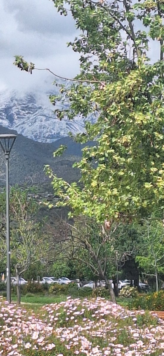 MaryLagos19's tweet photo. Un día cómo hoy en Santiago ..hermosa primavera ✨️🌈✨️ https://t.co/meotVch9WQ