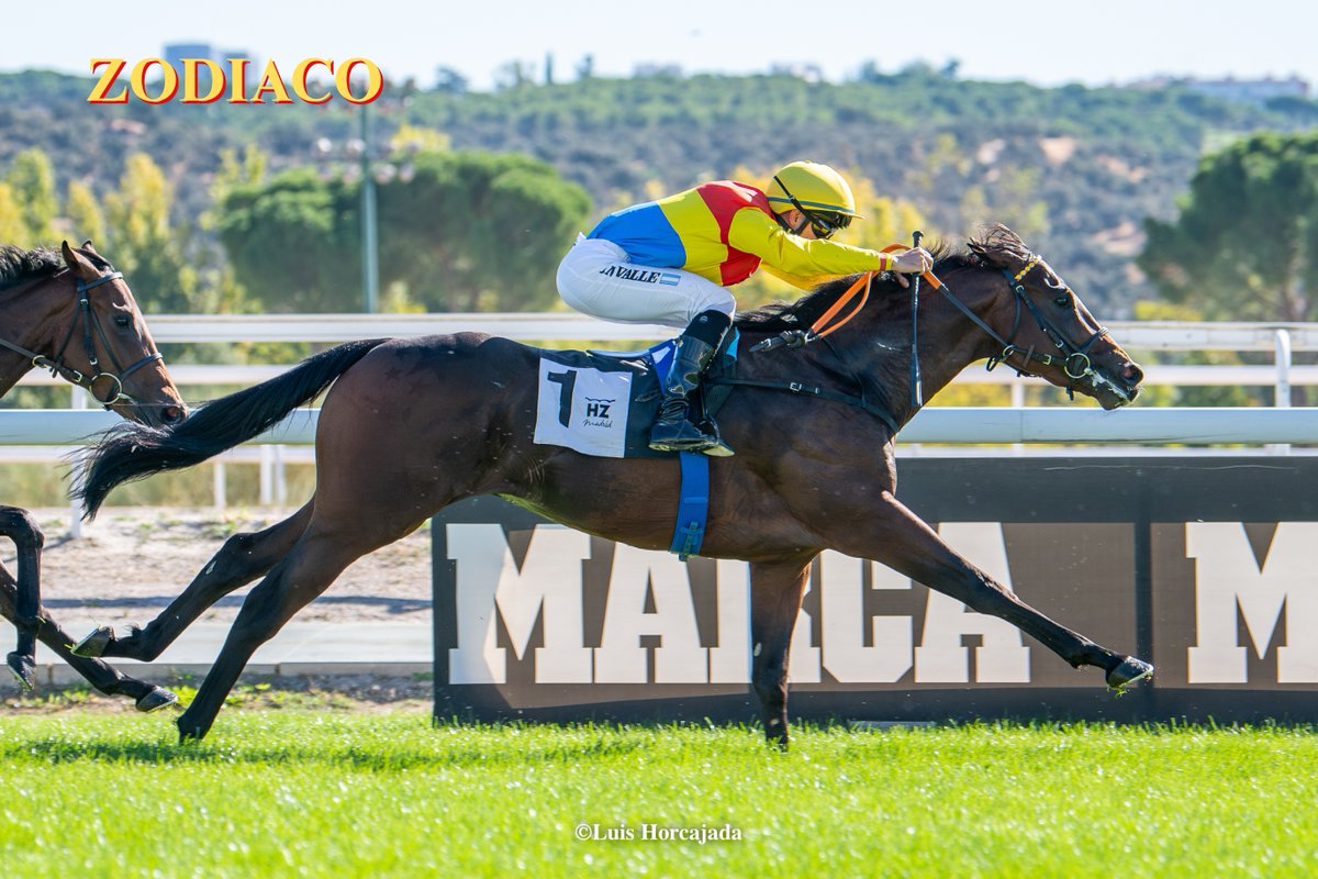 LUIS HORCAJADA (@luishorcajada66) on Twitter photo 