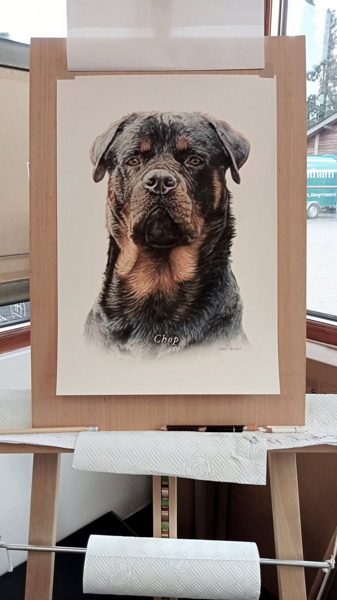 Steven1Howard's tweet image. Meet Chop. The latest pet portrait. It's been framed and the customer has picked it up from the gallery. @HowardGallery