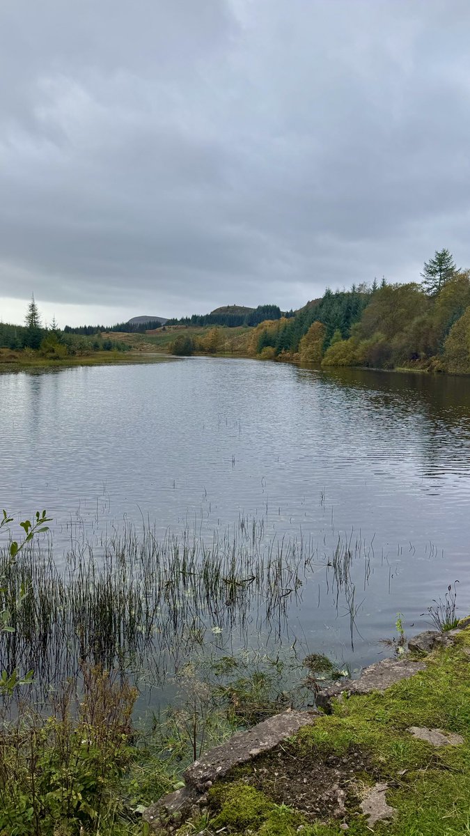 alistairgilli10's tweet image. A few more from today #hike #hiker #walk #trossachs #Scotland