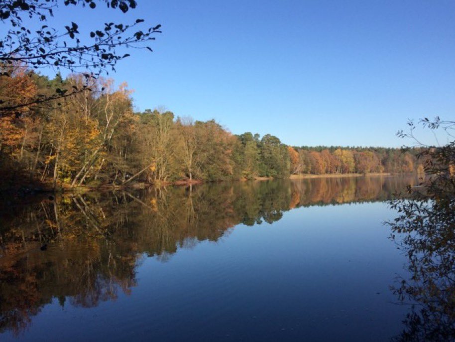 felix_bohr's tweet image. Das Jahr vergeht in Monatsraten.
Es ist schon wieder fast vorbei.
Und was man tut, sind selten Taten.
Das, was man tut, ist Tuerei.

Erich Kästner, Herbst auf der ganzen Linie