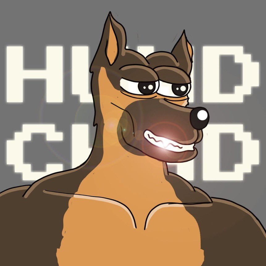 It’s time to say… HIGHER!! 

$HUND 🐶🐾