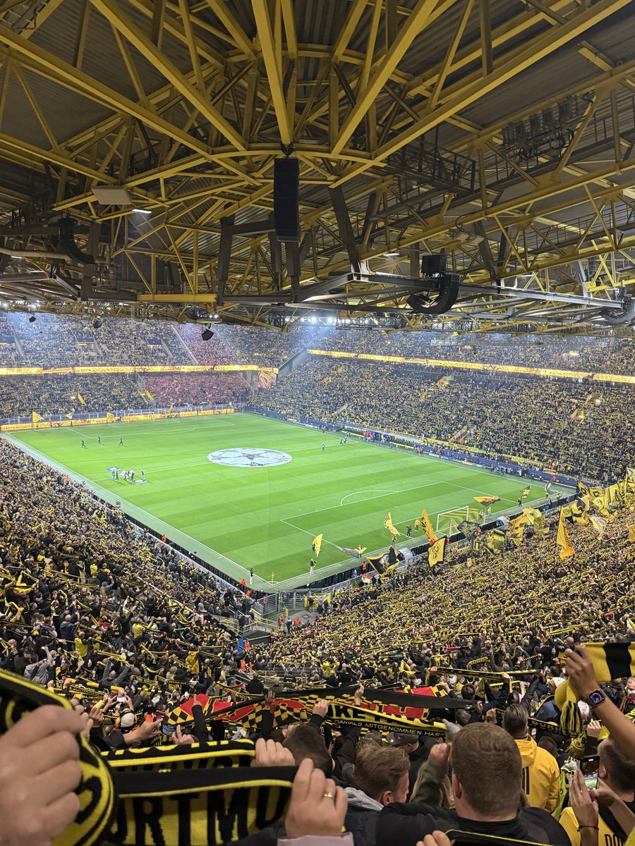 F_1909_'s tweet photo. Eine gute Woche König Fussball. 🤩🫡
#M05BVB #BVBATH #F95FCN #BVBLeipzig #TSVSVW https://t.co/UyUgqKUxFy
