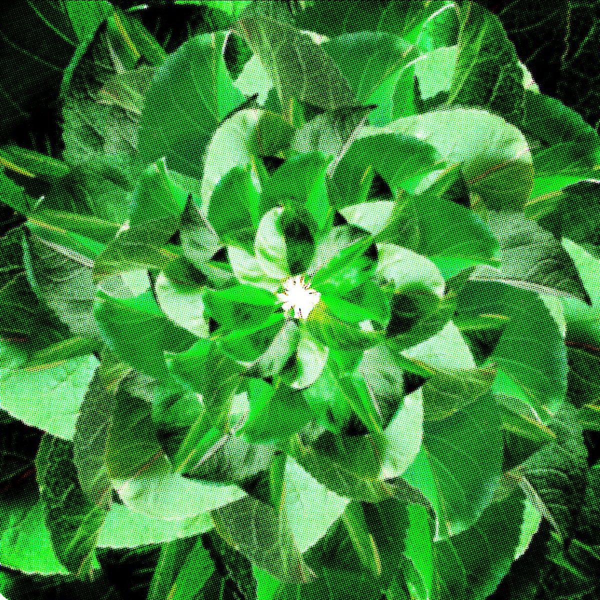 fifty more summers < 3

available everywhere

by <a href="/verballysexy/">isiah.</a> and I

art by <a href="/GuinevereXiv/">Chalice_Moving_XIV</a> 

features from Kosa and <a href="/jckknnth/">Jack Kenneth</a> 

enjoy 💜