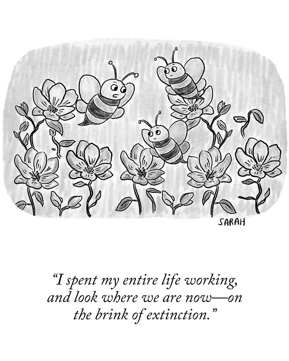 A cartoon by Sarah Kempa. #NewYorkerCartoons

See more from this week’s issue: newyorkermag.visitlink.me/Nf0ClY