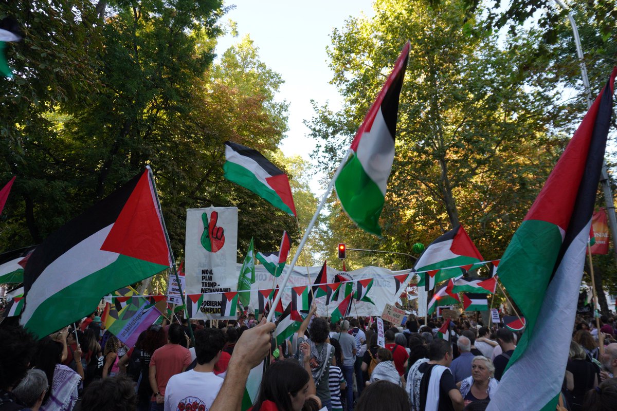 Algunas reflexiones sobre las movilizaciones por Palestina de estos días. 

Han sido las más masivas desde que comenzó esta fase del genocidio hace ya dos años. Lo de ayer en Madrid fue un desborde sin precedentes