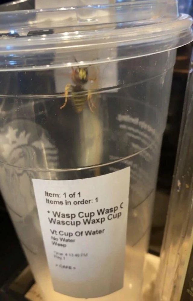 @catsbeingweirds Wasp cup