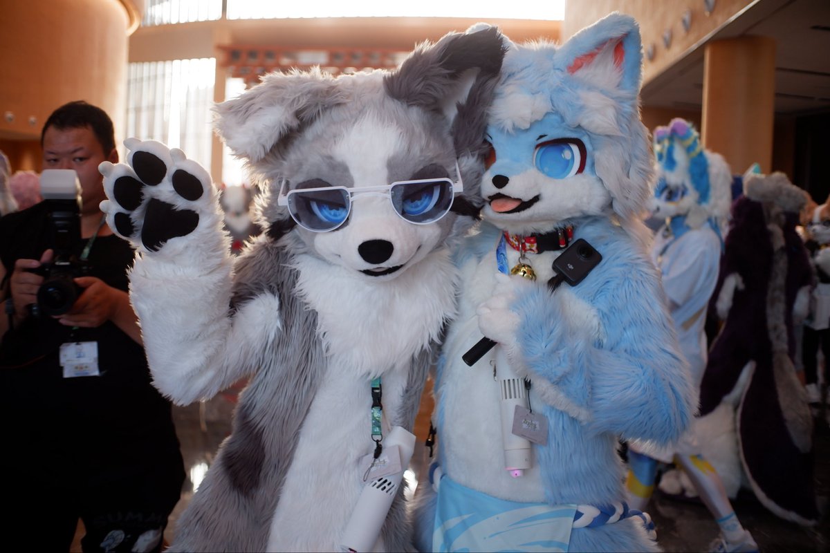 哈皮绝白狼 tweet media