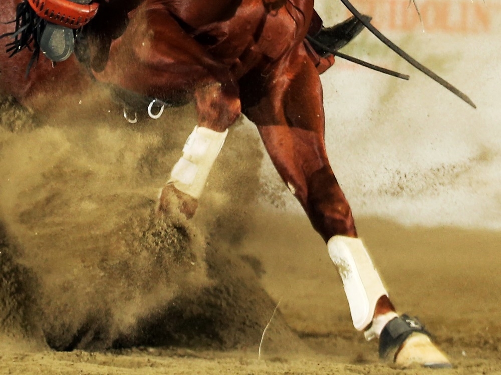 trhareining's tweet image. Online gli #ScoreCard della #domenica relativi all&apos;evento #FuturityToscano e #SestaTappa #TRHA-#IRHA-#FISE-#NRHA 2025.

Scopri il giudizio di ogni singola manovra!
👇👇👇
trha.eu/campionato-reg…

#Reining #ToscanaReining #TrhaReining