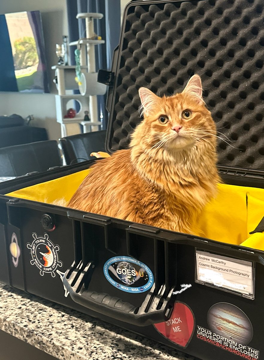 Andrew McCarthy tweet media