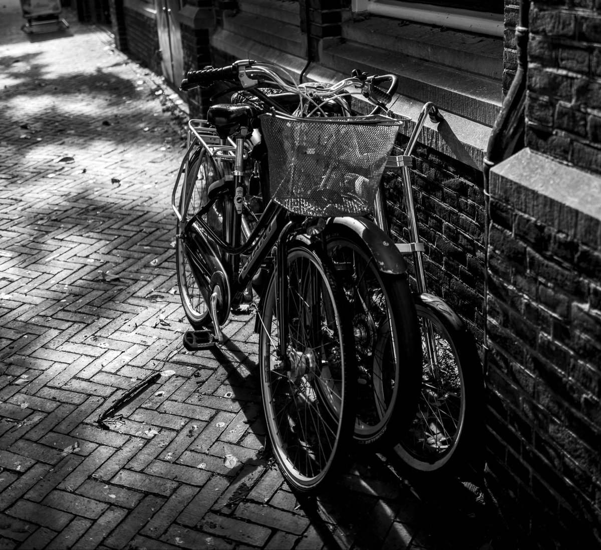casakleinhuis's tweet image. Bikes

#cycling #blackandwhitephotography #Netherlands #zwolle