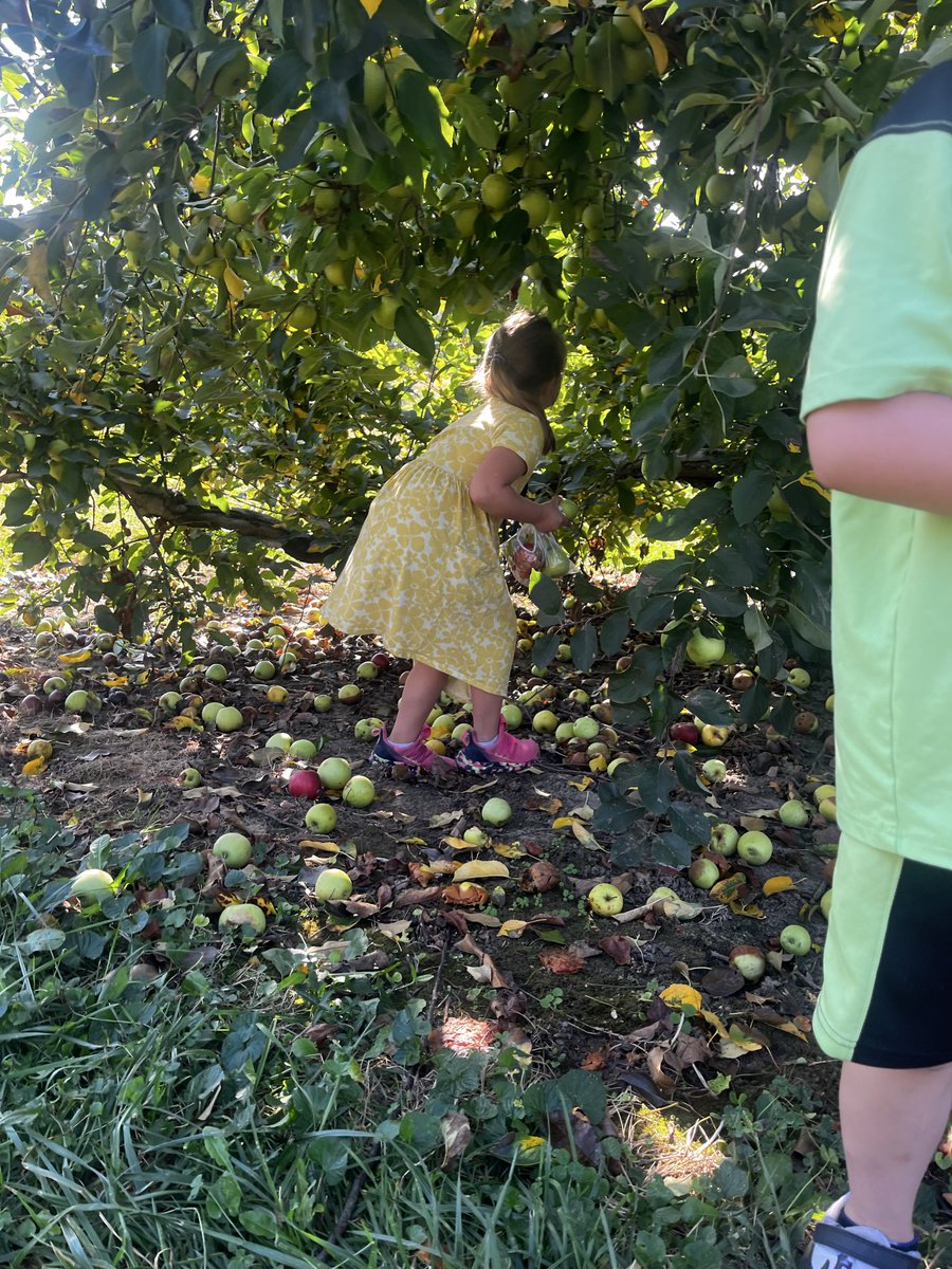 Did someone say field trip?

We went to Anderson’s Orchard &amp; picked apples &amp; had a HAY-day 🧡