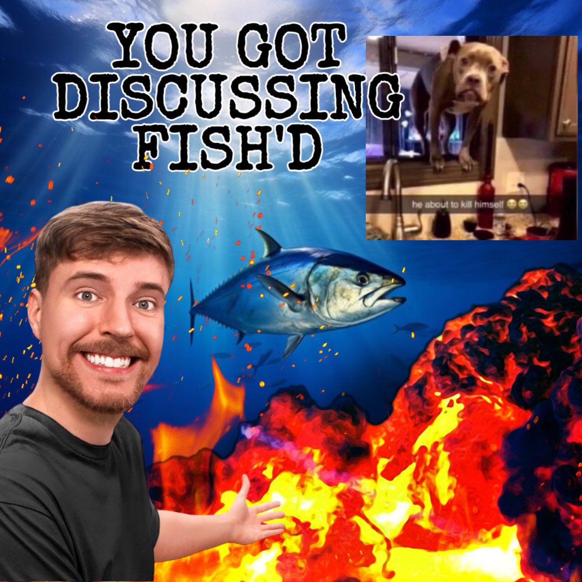 DiscussingFish's tweet image. 