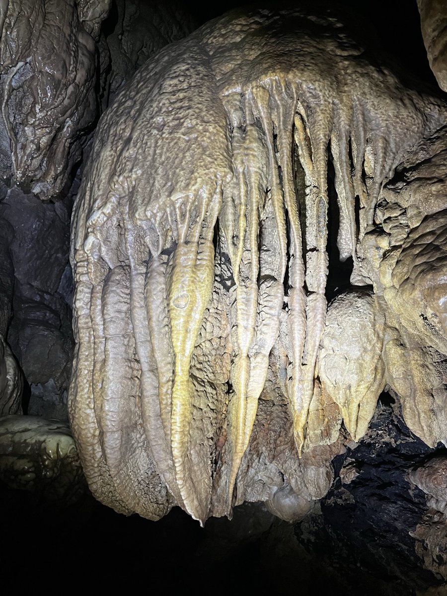 Lisa Forte tweet media