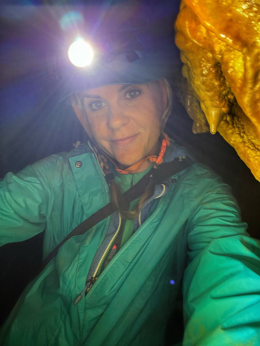 Lisa Forte tweet media