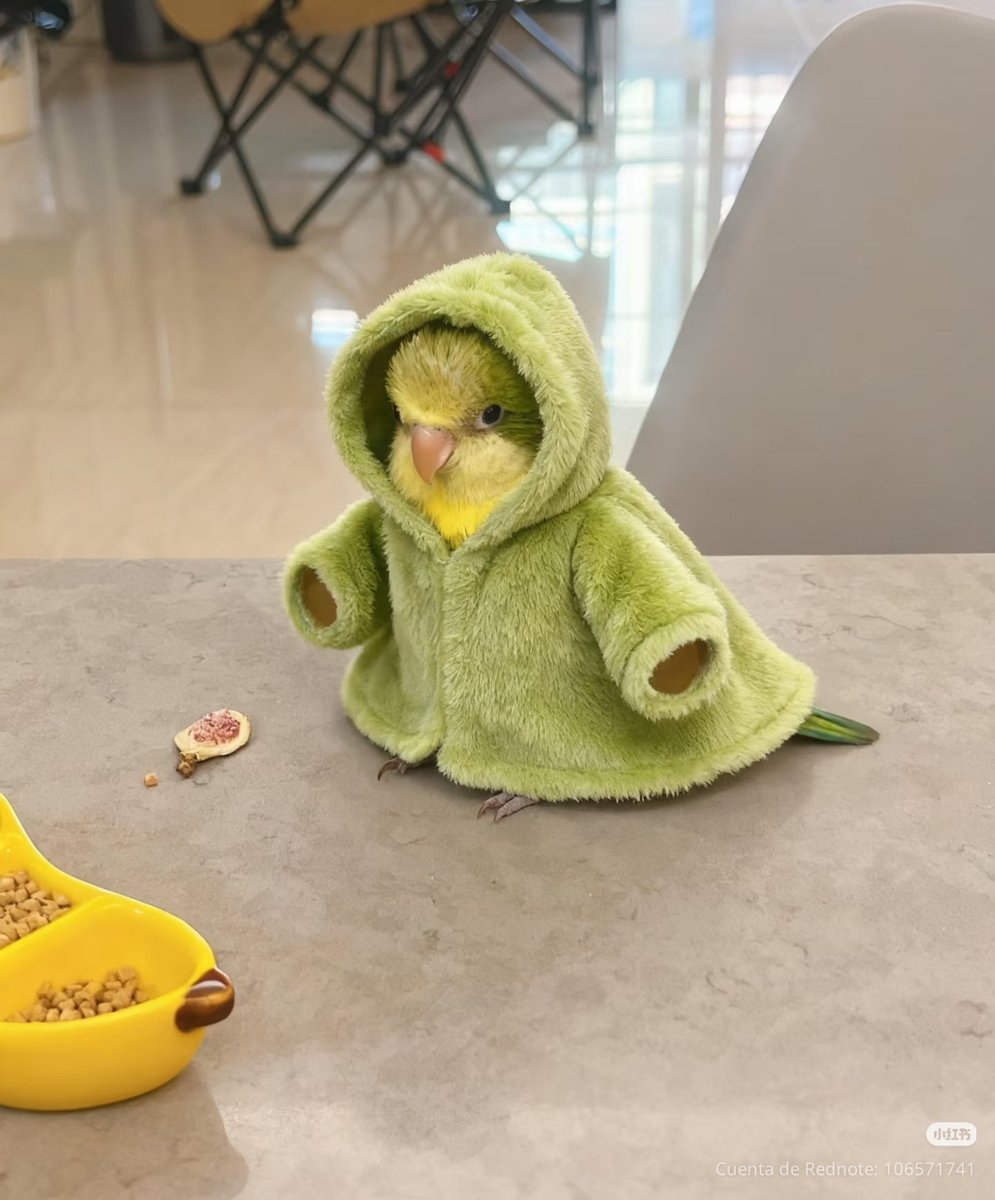 tattoos i would get if i had money (@twtpictures) on Twitter photo 